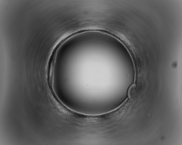 X0000098181181200804241214