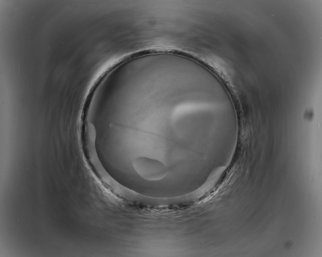 X0000098181183200804241214