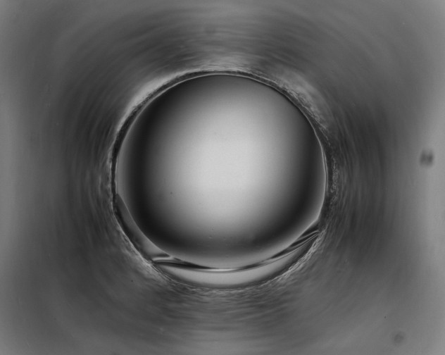 X0000098181184200804241214
