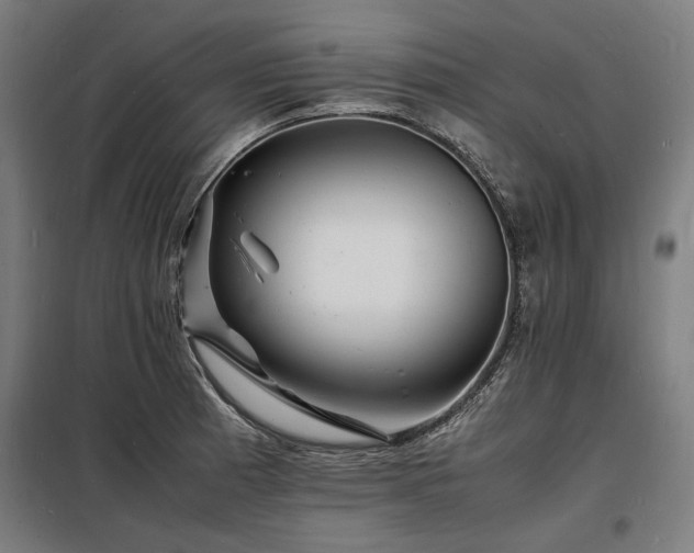 X0000098181185200804241214