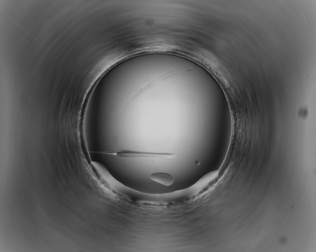 X0000098181186200804241214
