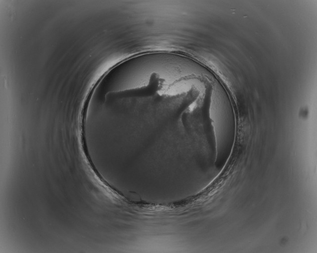 X0000098181187200804241214
