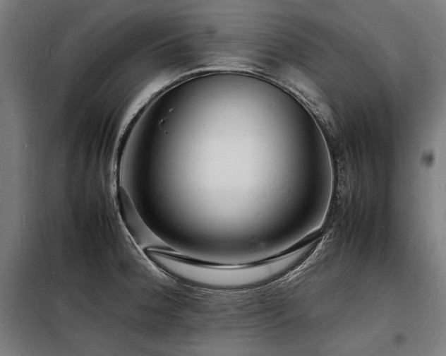 X0000098181188200804241214