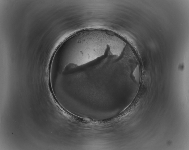 X0000098181191200804241214