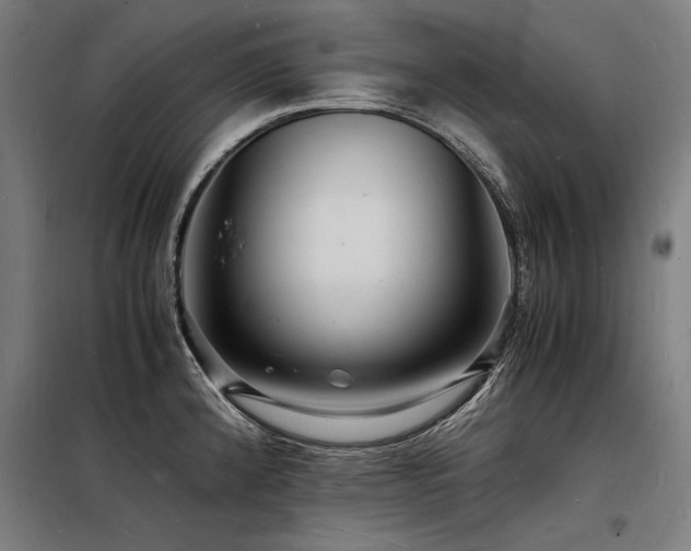 X0000098181192200804241214