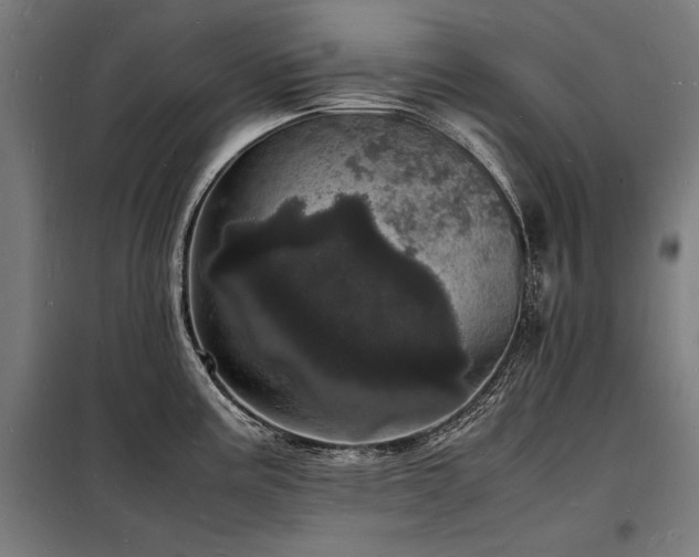 X0000098181195200804241214