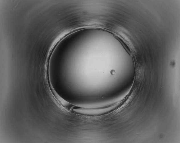 X0000098181196200804241214