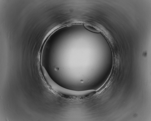 X0000098181198200804241214