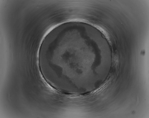 X0000098181199200804241214