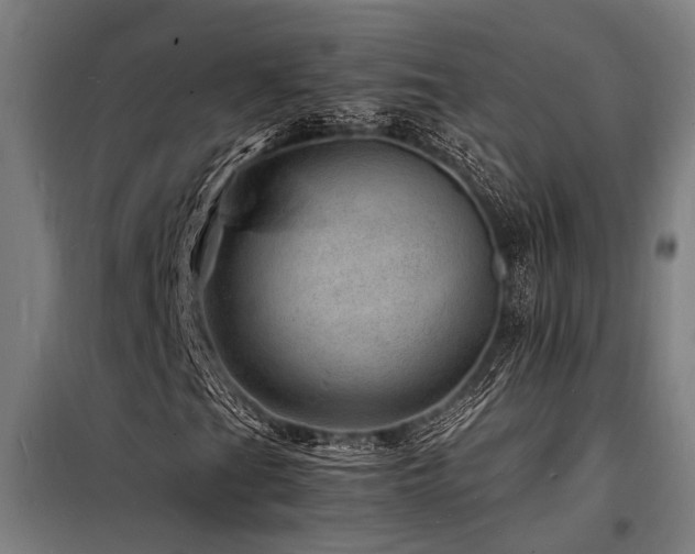 X0000098181201200804241213