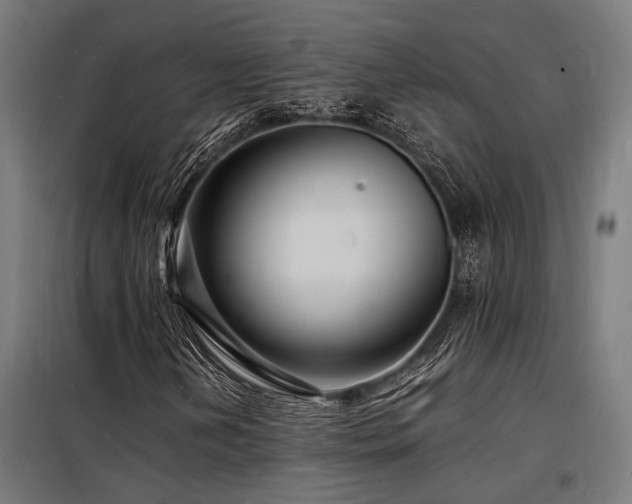 X0000098181202200804241213