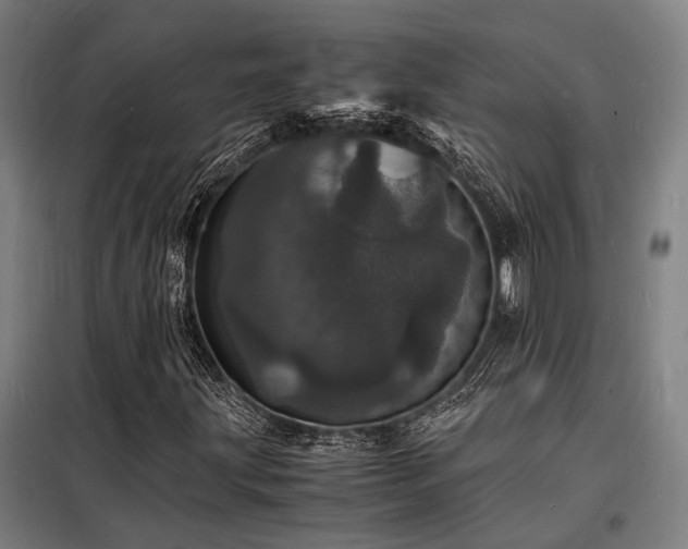 X0000098181203200804241213