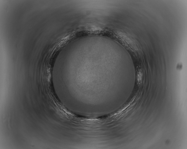 X0000098181204200804241213
