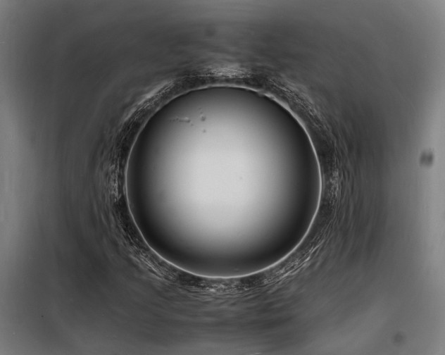 X0000098181205200804241213