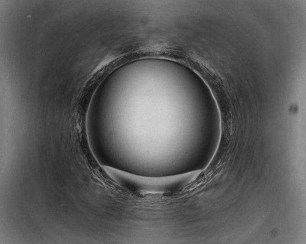 X0000098181206200804241213