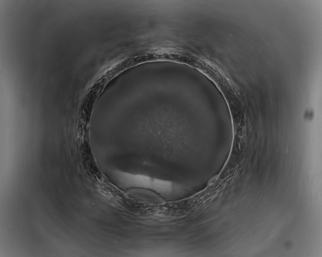 X0000098181207200804241213