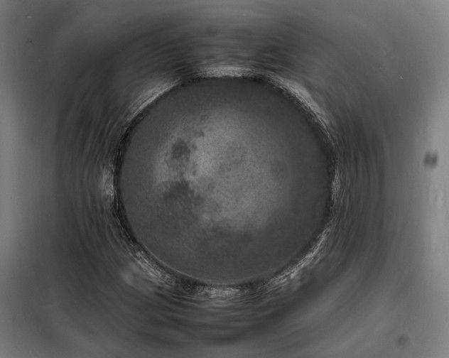 X0000098181209200804241213