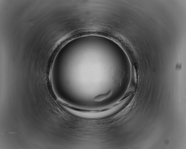 X0000098181210200804241213