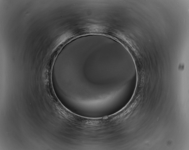 X0000098181211200804241214