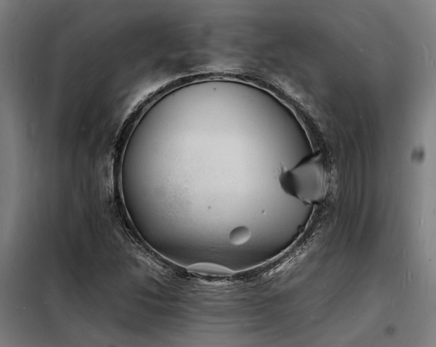 X0000098181214200804241214