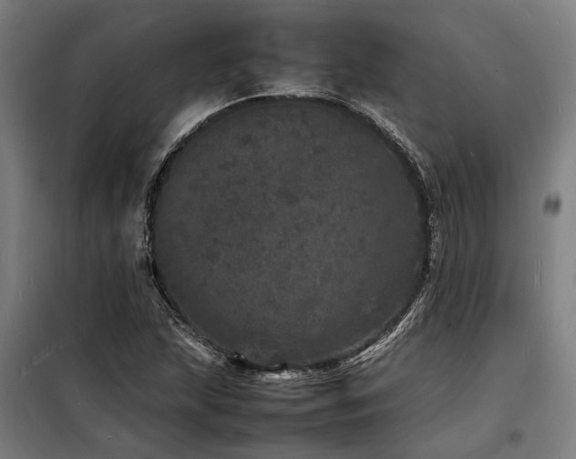 X0000098181215200804241214