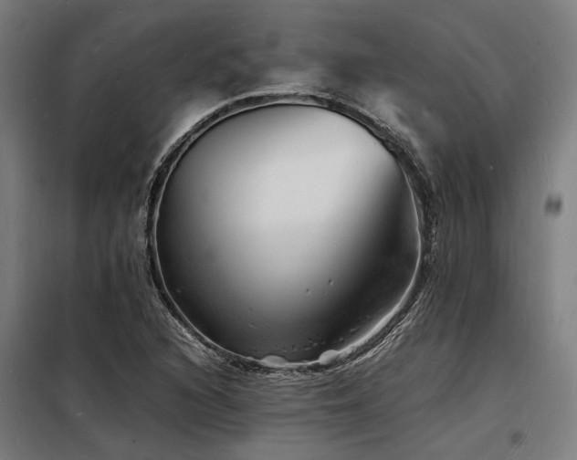 X0000098181216200804241214