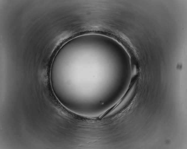 X0000098181218200804241214