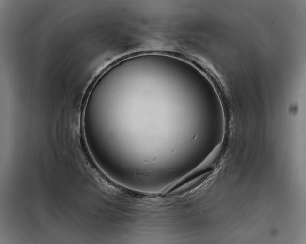 X0000098181220200804241214