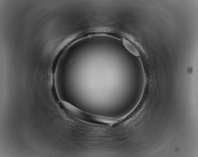 X0000098181221200804241214