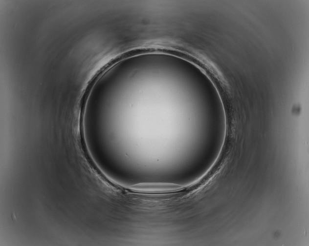 X0000098181224200804241214