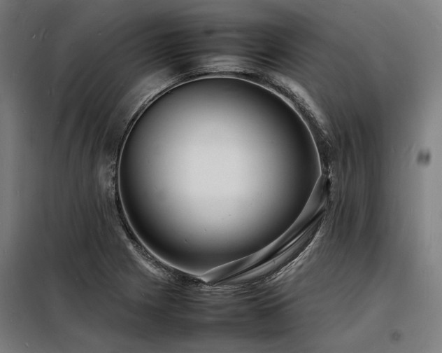 X0000098181225200804241214