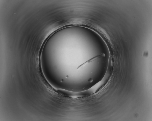 X0000098181226200804241214