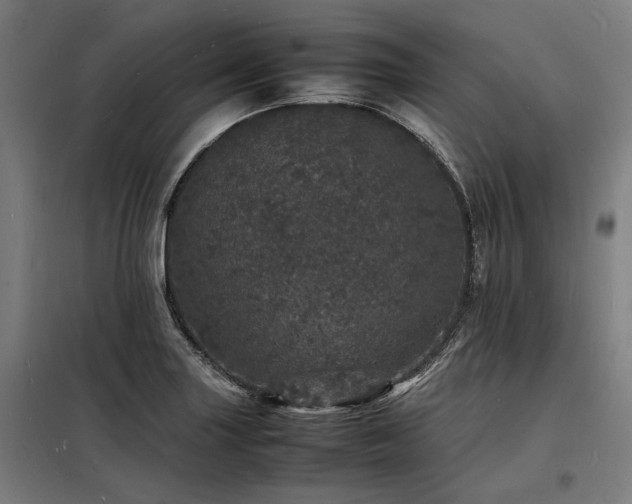 X0000098181227200804241214