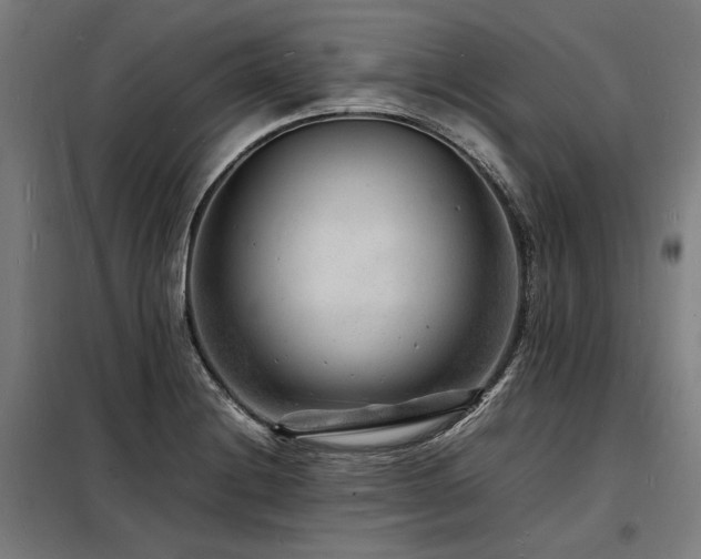 X0000098181228200804241214