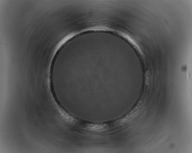 X0000098181229200804241214