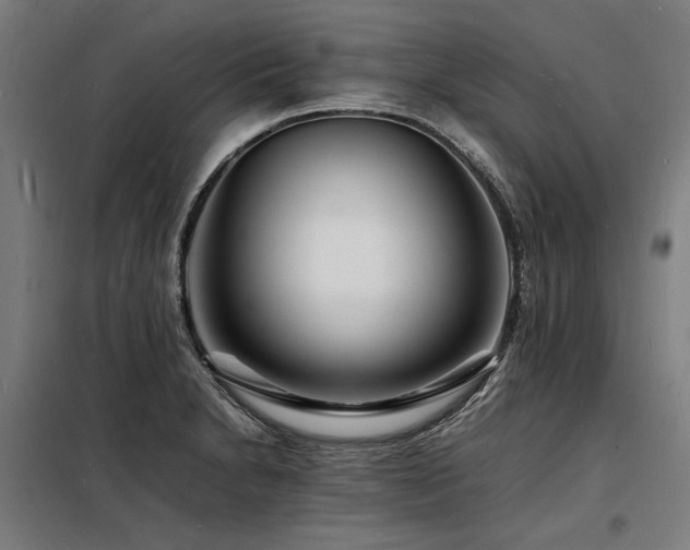 X0000098181230200804241214