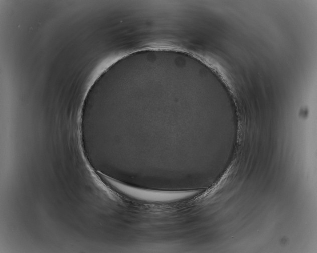 X0000098181231200804241214