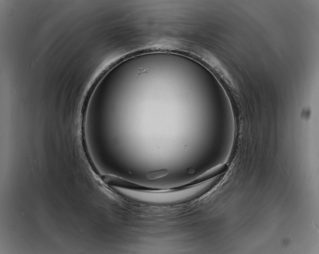 X0000098181232200804241214