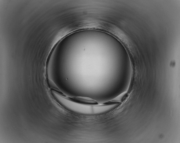 X0000098181234200804241214