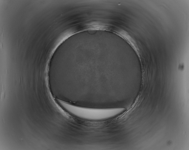 X0000098181235200804241214