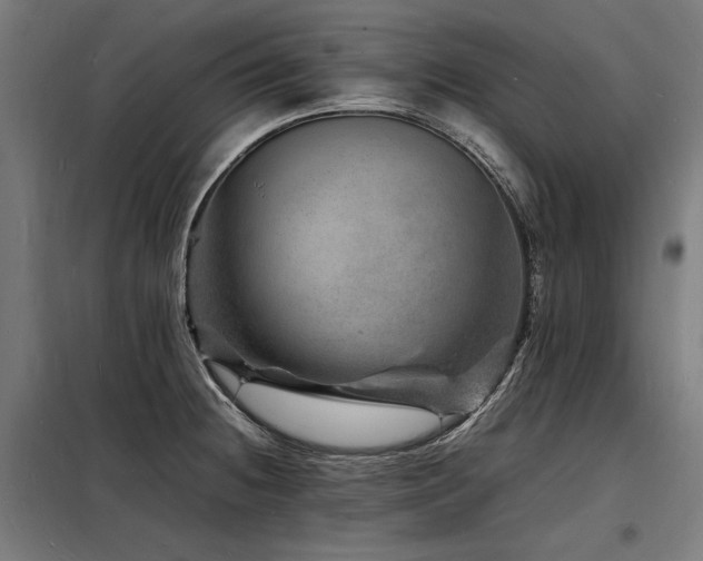 X0000098181236200804241214