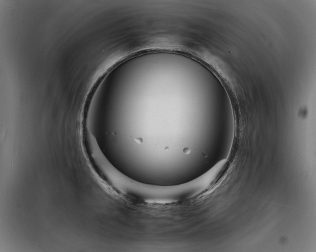 X0000098181237200804241214