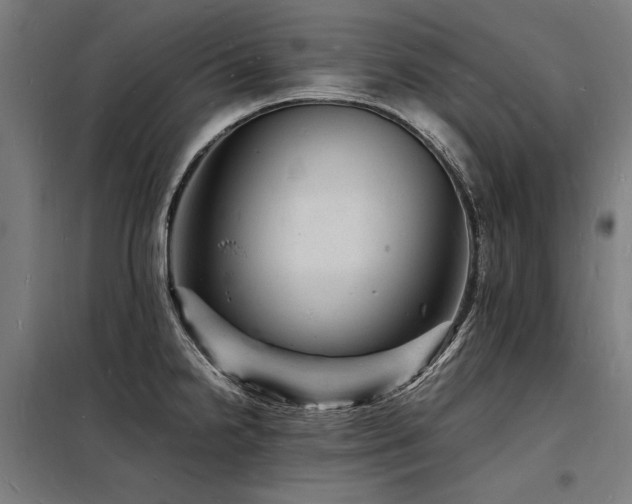 X0000098181238200804241214