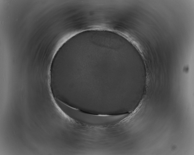 X0000098181239200804241214