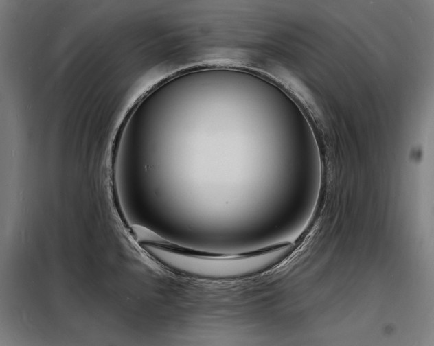 X0000098181240200804241214