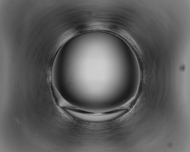X0000098181241200804241214