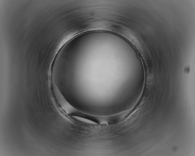 X0000098181242200804241214