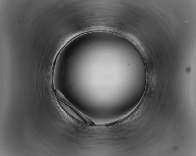 X0000098181244200804241214
