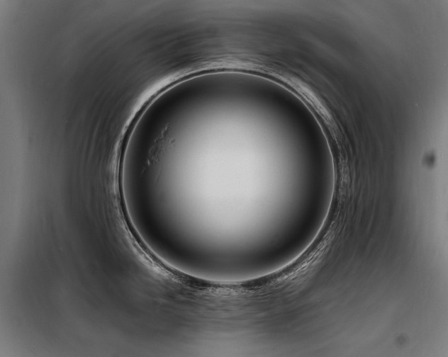 X0000098181246200804241214