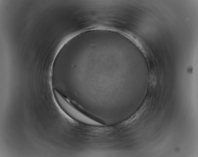 X0000098181247200804241214